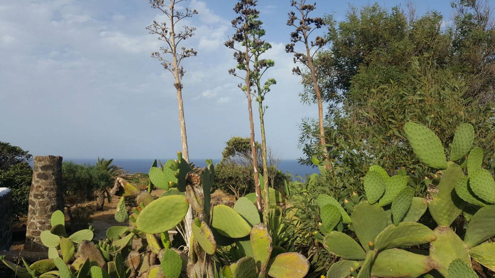 Pantelleria